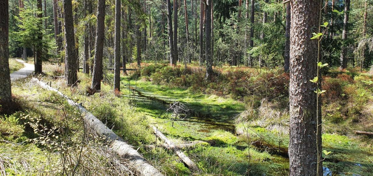 Eco Domek Z Duzym Ogrodem I Widokiem Мурзасичле Екстериор снимка