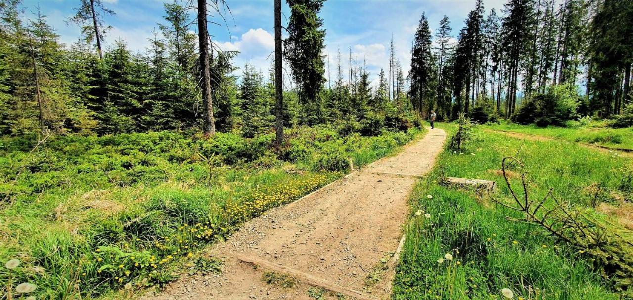 Eco Domek Z Duzym Ogrodem I Widokiem Мурзасичле Екстериор снимка