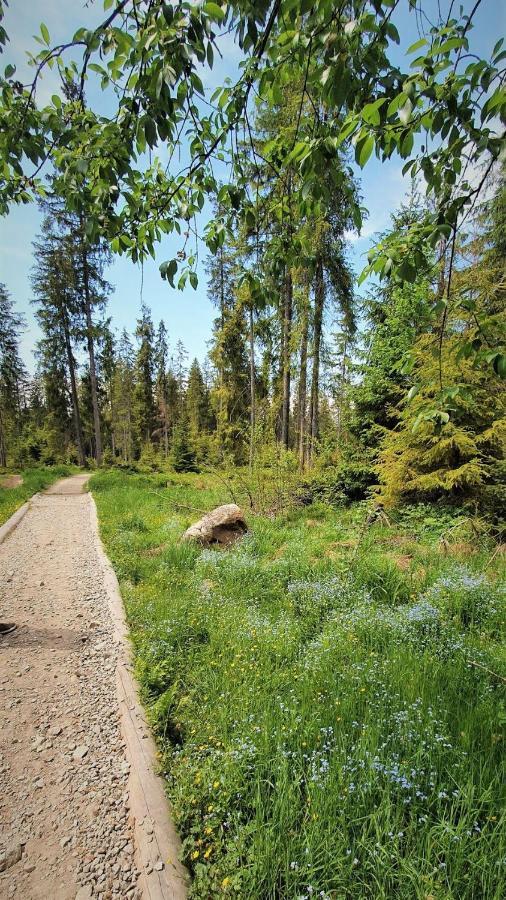 Eco Domek Z Duzym Ogrodem I Widokiem Мурзасичле Екстериор снимка